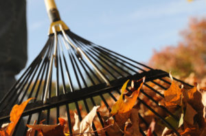 Fall Home Maintenance